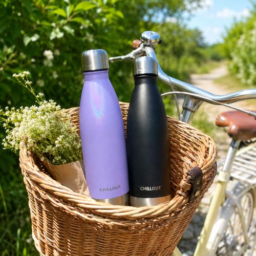 Image of CHILLOUT LIFE 17oz Insulated Stainless Steel Water Bottle, Leak Proof