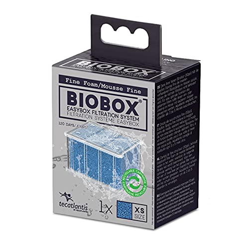 Aquatlantis 05230 EasyBox Filterschwamm fein für Mini Biobox 2, XS, 630020