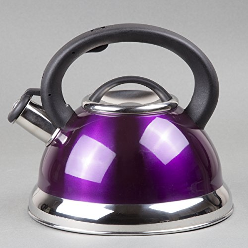 Purple Stainless Steel 3.0 Quart Whistling Tea Kettle The Purple Galaxy™