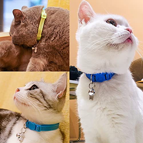5 Pack Pet ID Tags,Custom Dog Tags Cat Tags Personalized,Dog Tags with Name Tag and Tel Address,Puppy and Kitten Collar Silver Accessories 5 Pack Pet ID Tags,Custom Dog Tags Cat Tags Personalized,Dog Tags with Name Tag and Tel Address,Puppy and Kitten Collar Silver Accessories