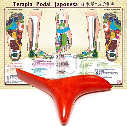 Instrumento Reflexologia Podal ASA e Mapa de Terapia Podal Japonesa A4