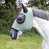 Busse