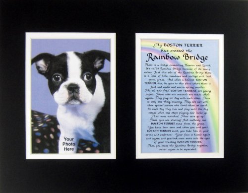 McDarlins Calligraphy Boston Terrier Rainbow Bridge Bereavement Memorial Keepsake Wall Hanging Gift Made in The USA