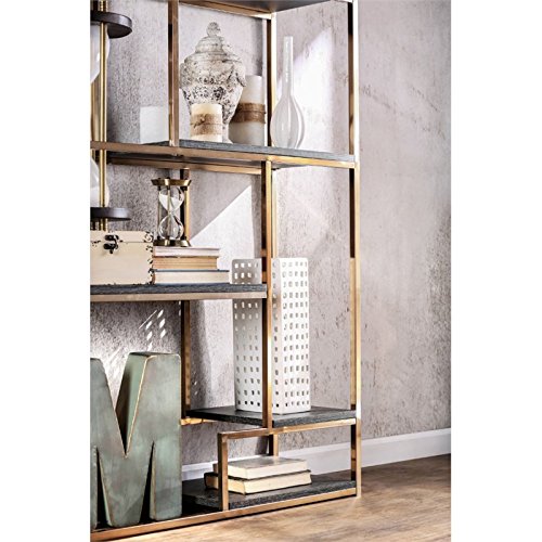 Furniture Of America Corley Contemporary 6 Shelf Bookcase, Champagne #TOP6