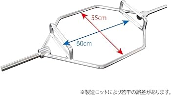 Amazon | ヘキスバー カラー無し レギュラー [WILD FIT ワイルド