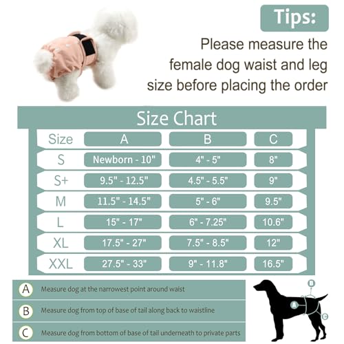Image of Washable Female Dog Diapers (5 Pack) - Doggie Reusable Small Medium Large Dog Diapers for Doggy Puppy Female in Period - Highly Absorbent Dog Heat Panties,S Plus