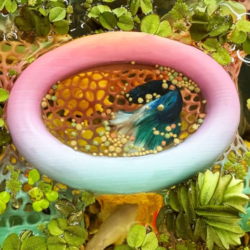 Image of Aquarium Floating Betta Fish Log, Hide Tunnel and Hammock Toy, Small Fish Or Shrimp Hide Resting Cave, Floating Feeder, Feeding Ring, Tank Accessories Decoration. (Gradient Color)