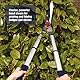 Spear & Jackson 8120RS Razorsharp Teleskop-Heckenschere
