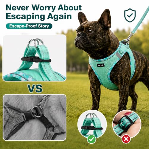 AMTOR Small Dog Harness with Leash Set, No Escape Easy Walk Puppy Harnesses for Training Walking, Step-in Reflective Soft Dogs Vest for XS S Medium Extra-Small Large Sized Dog(Green,S) - Image 7