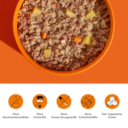 FRED Nassfutter Hund Pute mit Kartoffeln – Monoprotein – 50 % Pute in Lebensmittelqualität – Getreidefrei – mit Gemüse & Quinoa – Alleinfuttermittel für ausgewachsene Hunde – 390 g Tetra Pak