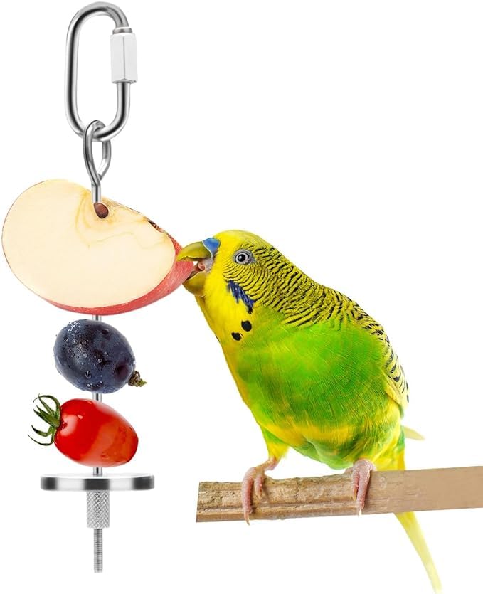 PETANGEL Bird Food Holder Stainless Steel Fruit Vegetable Stick Skewer for Parrots Cockatoo Cockatiel Cage Treating Tool (S:12cm) (B0D573KQWZ) Amazon Price History, Amazon Price Tracker