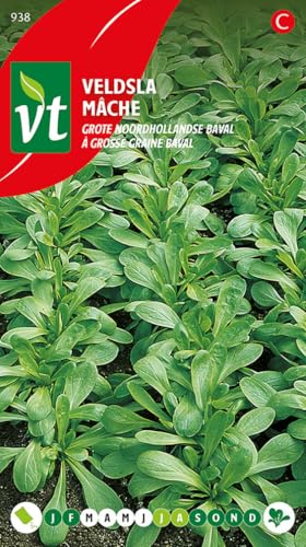 Semillas de canónigos Baval Large Seed - Hojas grandes, ricas en minerales y vitaminas