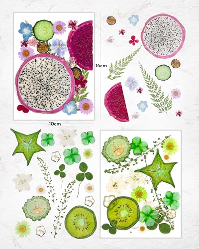 Image of Resiners Dried Pressed Flowers for Resin Molds Scrapbook Supplies