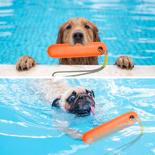 Hundespielzeug,Schwimm Spielzeug für Hunde Wasserspielzeug 22cm Wasser Interaktives Hundespielzeug Hundetraining mit Nylon Rope Trainieren Apportieren im Wasser Spielzeug für Mittelgroße,Große Hunde