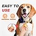 Imagen de WONLIVE Collar LED Perro