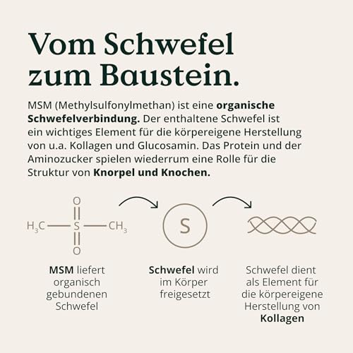 NATURE LOVE® MSM 2000mg mit Vitamin C - 365 laborgeprüfte Tabletten - Kompakteres MSM Pulver als bei Kapseln - Ohne Zusätze, hochdosiert, vegan, in Deutschland produziert
