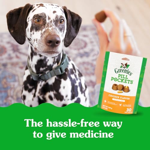 Image of Greenies Pill Pockets for Dogs Large Size, Dog Treat Pouch for Capsule Medication, Chicken Flavor, (6) 7.9 oz. Pouches
