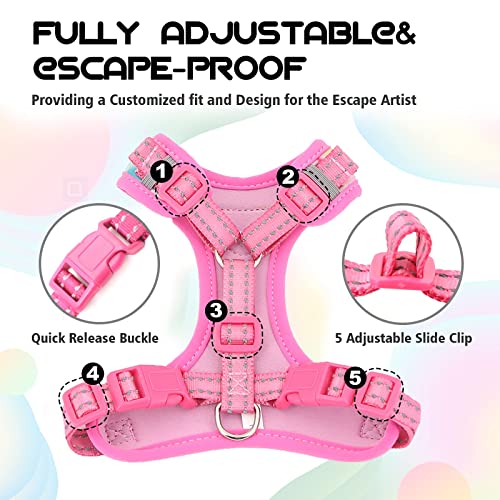 Supet Cat Harness and Leash Escape Proof for Walking, Adjustable Cat Vest Harness and Leash Set for Adult and Small… - Image 2