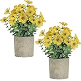 2 Pack Small Fake Plants Potted Artificial Plants Artificial Flowers Potted Faux Flower Daisy with Eucalyptus Leaves for Home Decor Office Room Farmhouse Indoor Table Bathroom Decor（Yellow）