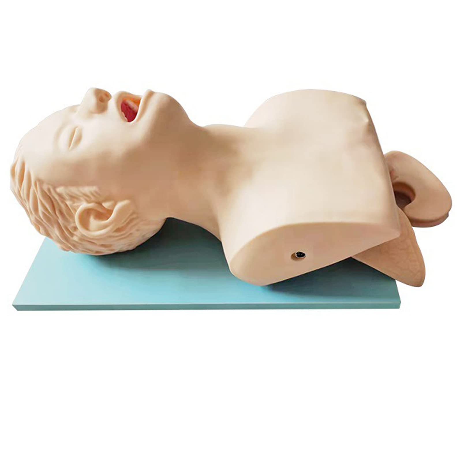 Buy SHENGANG Advanced Electronic Human Tracheal Intubation Training ...