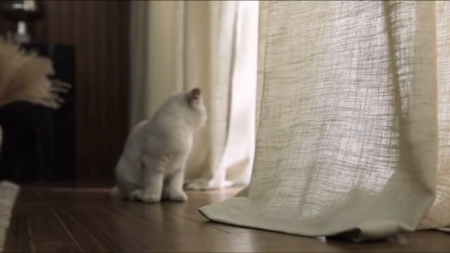 リネンカーテン UVカット ナチュラルベージュ Amazon｜SUNMOOH レースカーテン リネン風 おしゃれ ナチュラル系 無地