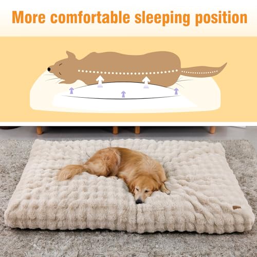 BingoPaw Hundebett für Menschen Hunde: 200x130x18 cm Riesiges Human Dog Bed für Erwachsene, Flauschig Weich Abnehmbar Bezug, Multifunktional Hundebetten Hundematte Teppich Wohnzimmer, Beige