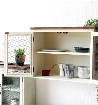 51gsLnPScfL._AC_UF350,