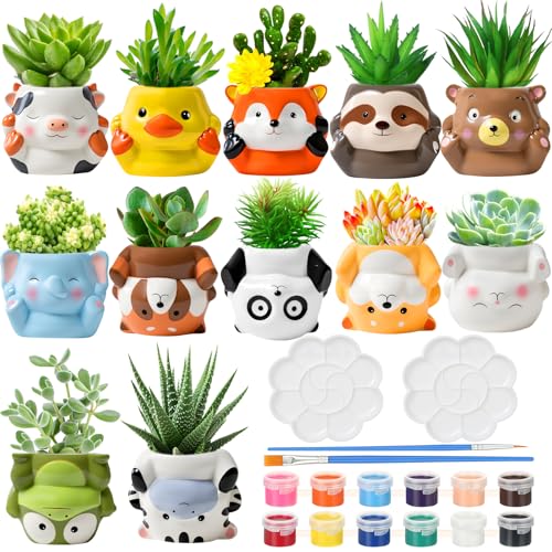 Chuangdi 12 Sets Ceramics to...