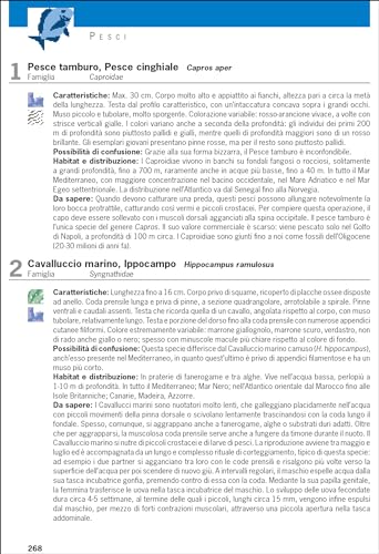 Cosa Vive Nel Mediterraneo? Guida All'identificazione Per I Subacquea E Snorkeling - 7
