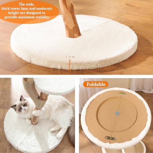 Torre Moderna para Gatos de Interior con 2 Niveles y Poste de Madera miniatura 6