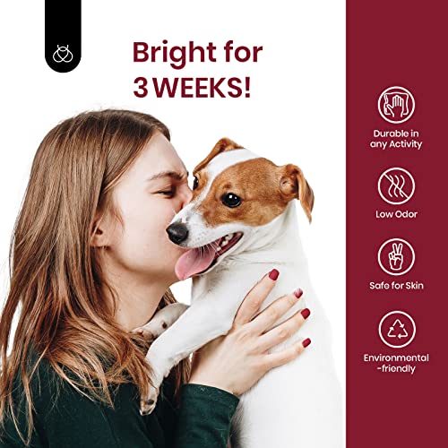 Beetles Gel Nail Polish, 1 Pcs 15ml Soak Off Wine Red Burgundy Gel Polish Nail Art Manicure Salon DIY Gel Nail Design Decoration at Home Uv Nail Lamp Needed - 8