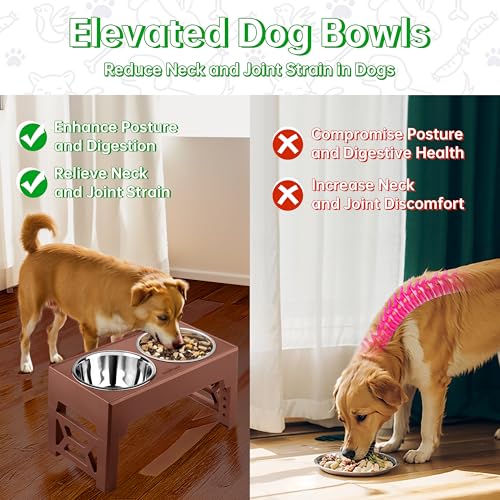 EliteField Elevated Dog Bowls (2-Year Warranty), Two 58 oz Stainless Steel Food Bowls, 5 Adjustable Raised Heights (4", 9.5", 10.5", 11.5", 12.75") Suitable for Dogs of All Ages, Small to Large Sizes - Image 4