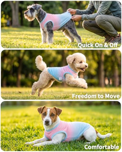 Image of CuteBone Ombre Dog Tank Top for Small Dogs, Cats - Tropical Summer Pet Vest - Breathable Ice Silk Cooling Shirt - Sun Protection, Photo, Casual Play, Walks
