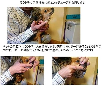 Amazon  LACTTEUS 犬・猫用健康補助食品 ラクトテウス 50g  LACTTEUS 