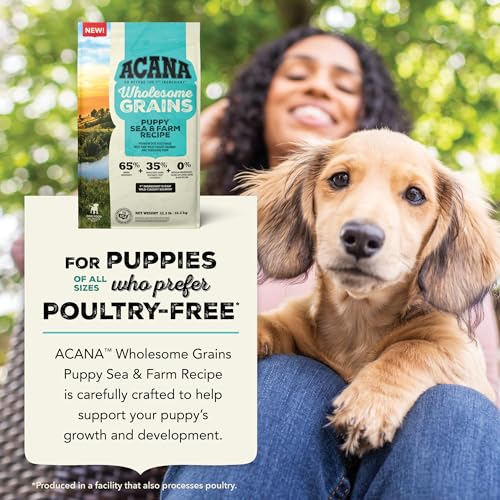 Image of ACANA Wholesome Grains Dry Dog Food Puppy Sea & Farm Recipe, 4lb (Pack of 2)