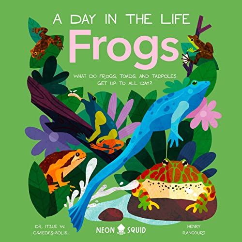 A Day in the Life: Frogs by Dr. Itzue W. Caviedes-Solis, Neon Squid episode artwork