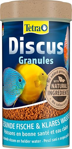 Tetra Discus Granules - Mangime per tutti i pesci disco, favorisce la salute, il colore e la crescita, lattina da 250 ml