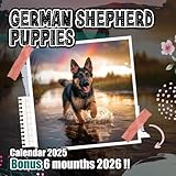 Photo Gallery german shepherd puppies calendar 2025-2026: 18 months of the animal from jan 2025 to jun 2026|great gift for organizing & planning, us holidays|kalender calendario calendrier Photo Gallery german shepherd puppies calendar 2025-2026: 18 months of the animal from jan 2025 to jun 2026|great gift for organizing & planning, us holidays|kalender calendario calendrier
