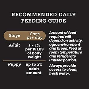 Victor Super Premium Dog Food – Grain Free – Beef and Vegetables Cuts in Gravy – Canned Wet Adult Dog and Puppy Food – All Breed Sizes, 12 x 13.2 oz Cans