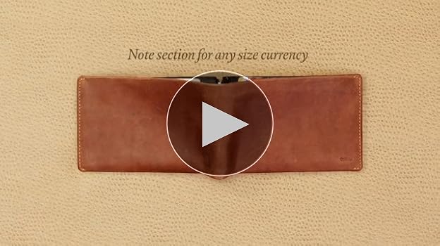 Amazon.com | Bellroy Travel Wallet, travel document holder