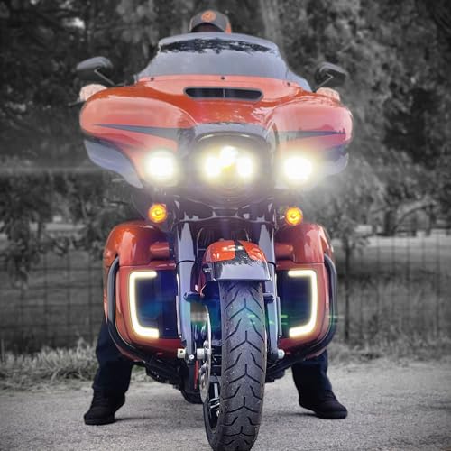 Lámparas LED para motos Eagle Lights SUNBURST Lower Fairing Grill miniatura 5