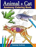 Animal & Cat Anatomy Coloring Book: 2-in-1 Compilation | Incredibly Detailed Self-Test Veterinary &...