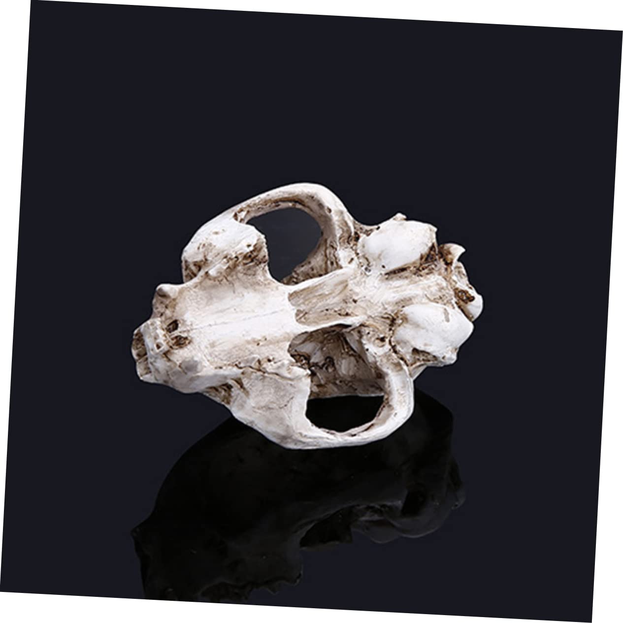 Figurine Réaliste De Crâne De Chien En Résine – Déco Aquarium Ou Maison