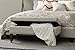 Pulaski Hinged Top Button Tufted Bed Oatmeal Beige, 41.50