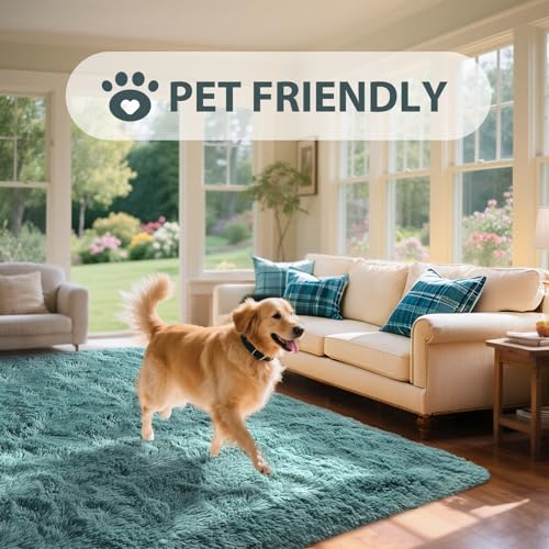 6x9 Rug for Living Room Teal Shag Area Rugs, Modern Plush Non-Slip Soft Carpets for Bedroom Kids Nursery Dorm Daycare Floor