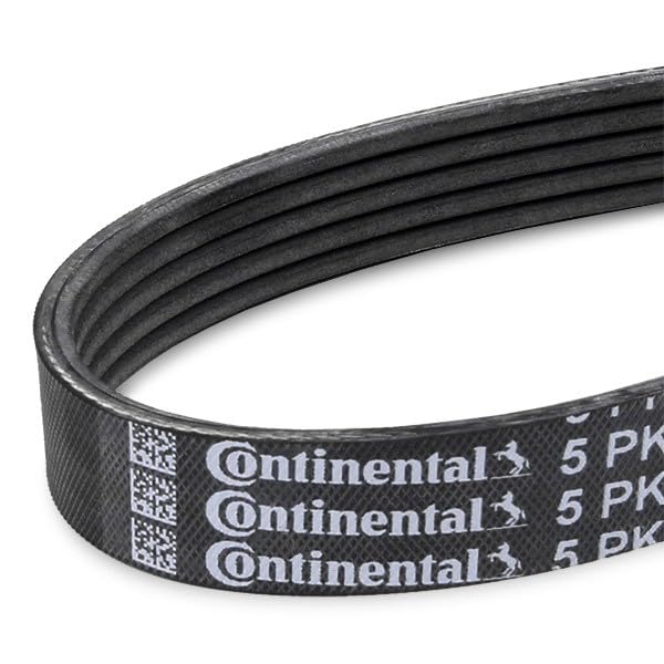 Courroie d'accessoire CONTITECH 5PK1094 Striée en caoutchouc renforcé - 4