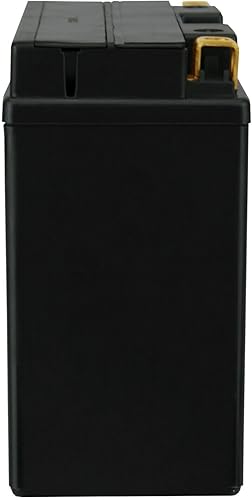 Miniatura 5 de PowerStar YT12B-BS YT12B-4 - Batería para Ducati Triumph Yamaha SRX600 XVS650 V Star