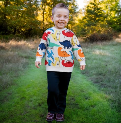 Akyzic Boy Dinosaur Sweatshirts Toddler Long Sleeve Cotton Space Pullover Cartoon T-Shirts Sport Top Tee For Kids 2-7T2