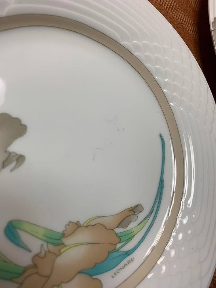 ドイツ製 Hutschenreuther フッチェンロイター 平皿9枚 希少品