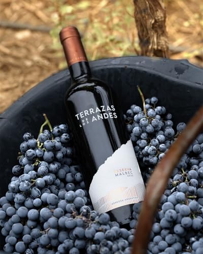 Terrazas de los Andes Reserva Malbec 2022 Rotwein aus Mendoza, Argentinien, 0,75L